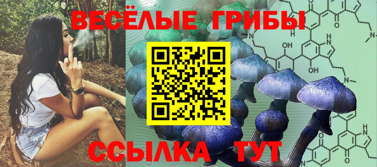Галлюциногенные грибы Cubensis Нововоронеж