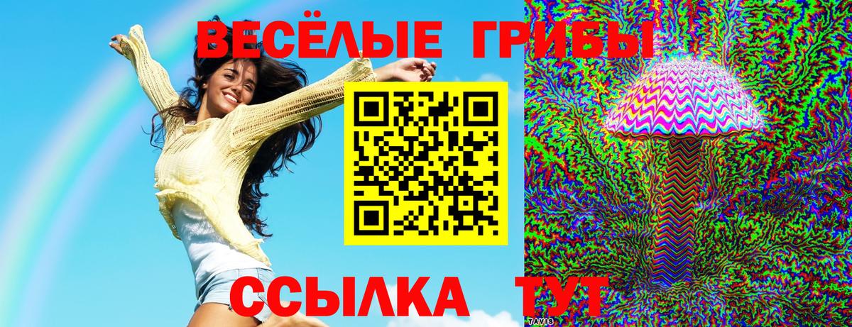 Галлюциногенные грибы Magic Shrooms  Вход с VPN  Нововоронеж 